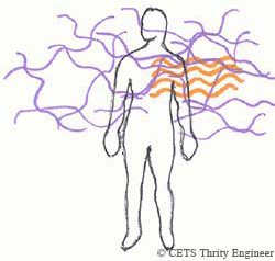 コヒーレントな状態